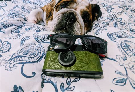 New Year New Shades - Add a digital filter to your Camp Snap camera ...