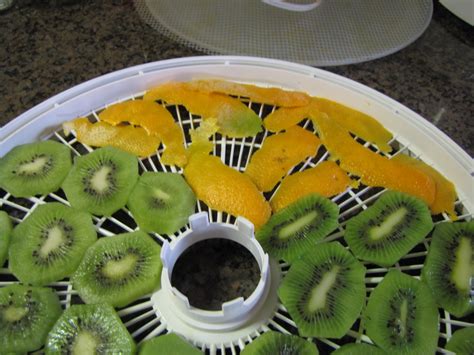 Dehydrating Fruit For Tea at Sandra Miles blog