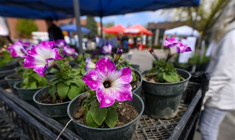 Greeley Farmers’ Market summer season opens at new location – Greeley ...