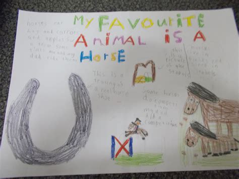 What Are Your Favorite Animals Why Are They Your Favorite