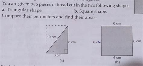 please answer with solution tommorow is my exam - Brainly.in