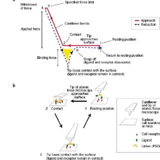 Process Control Force Distance 的图像结果