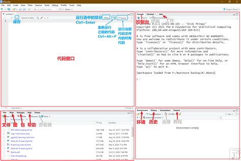 Scan R Studio 的图像结果