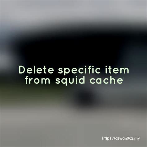 Image result for Squid Cache