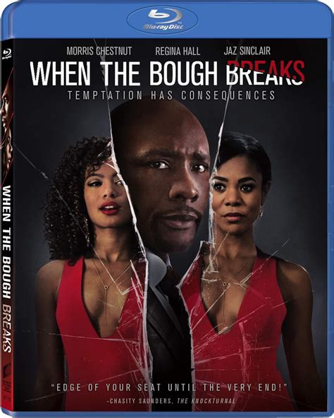 When the Bough Breaks (2016) (Uncut | Region Free Blu-ray | US Import ...