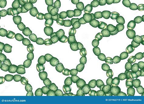 Anatomy of Blue Green Algae Stock Vector - Illustration of variety, nutrient: 321962719