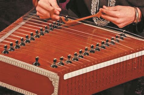 Image result for Indian String Musical Instruments