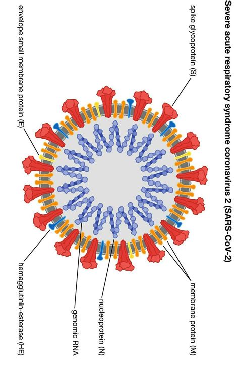 please share me the video of how to make this picture - Brainly.in