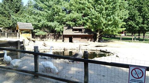 BIOFARMA PRIRODA (2026) All You Need to Know BEFORE You Go (with Photos ...