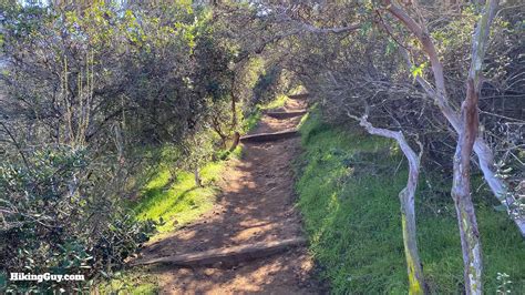 Cowles Mountain Hike