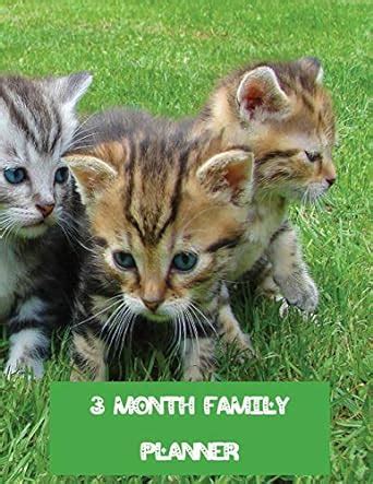 Buy 3 Month Family Planner: Cute Kittens undated weekly diary and ...