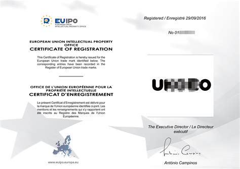 欧盟商标注册证_国际证书_保定市外海一新知识产权服务有限公司