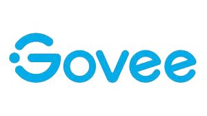 Govee Lights India
