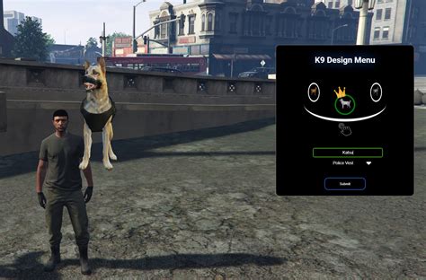 How to Put K9 Script In 的图像结果