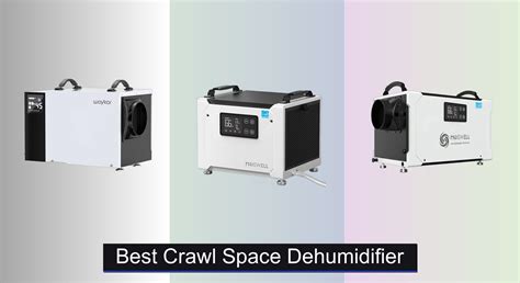 7 Best Crawl Space Dehumidifiers of 2025