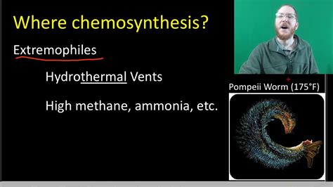 Image result for Chemosynthesis Examples