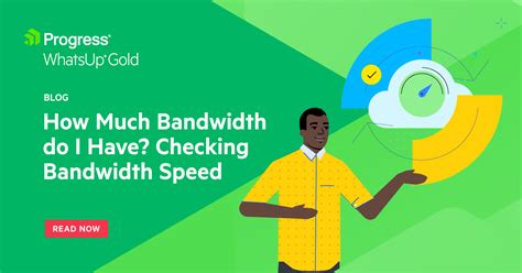 Free Bandwidth Check 的图像结果