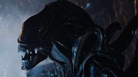 Image result for Alien Movie Xenomorph