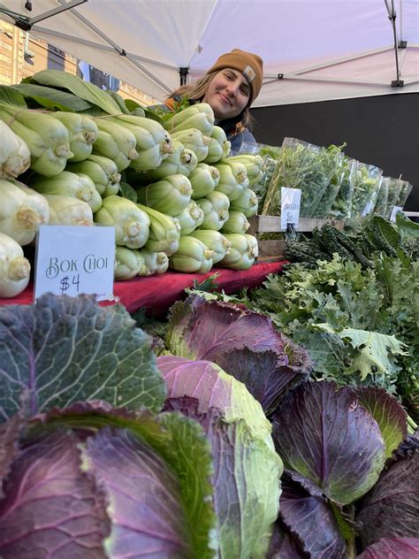 Are Dogs Allowed At Ballard Farmers Market
