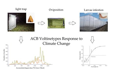 Evolutionary Shift of Insect Diapause Strategy in a Warming Climate: An ...