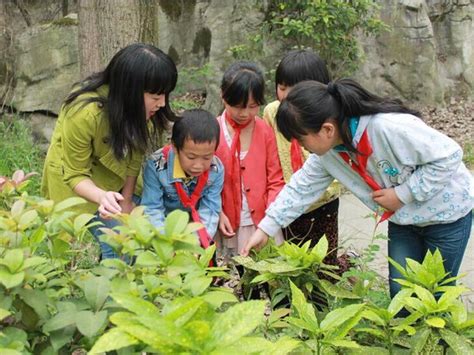 贵阳大山洞社区组织学生户外活动认识身边的植物
