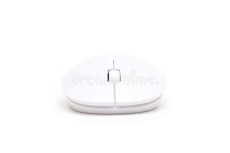 Image result for Computer Mouse Front View