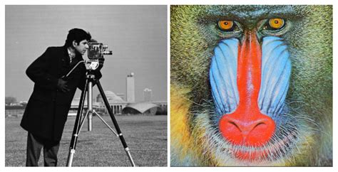 Modified Tseng’s Method with Inertial Viscosity Type for Solving ...