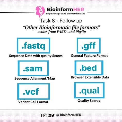 Image result for Bioinformatics File Format