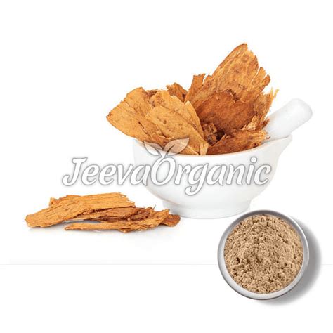 Astragalus Root Powder | Premium Quality Supplier