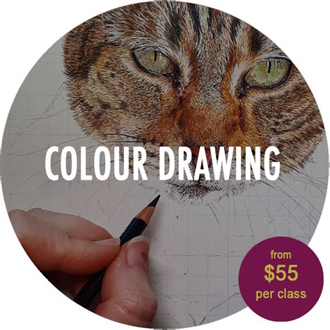 Image result for Advanced Drawing Lessons with Pencil Color