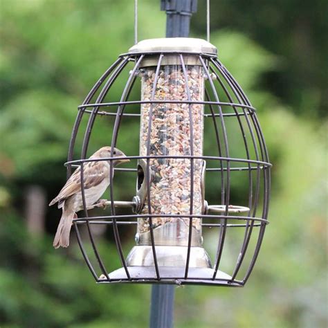 Henry Bell Heritage Gold Squirrel Proof Bird Seed Feeder - Ruxley Manor