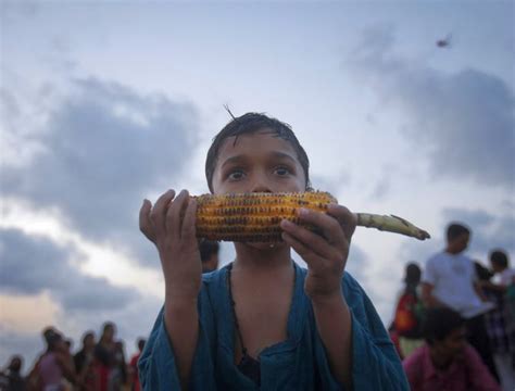 India's Hunger Problem Explained, Through Five Charts - The Wire