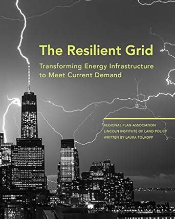 Buy The Resilient Grid: Transforming Energy Infrastructure to Meet ...