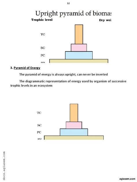 Botany Vidio 12 的图像结果