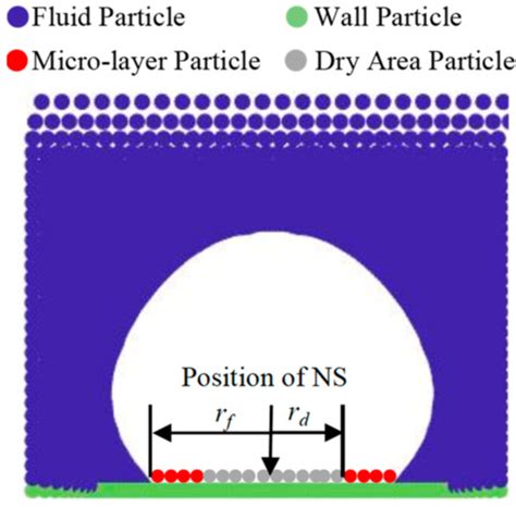 Heat Transfer Mechanism Investigation of Bubble Growth on the ...