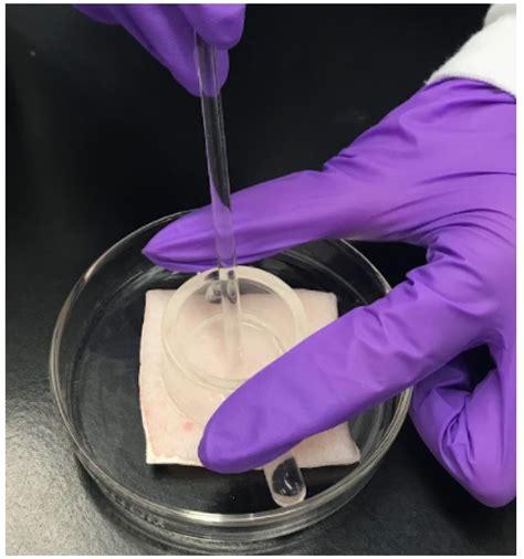 HPLC Method for Separation of Cannabidiol Hemp Seed Oil with Skin ...