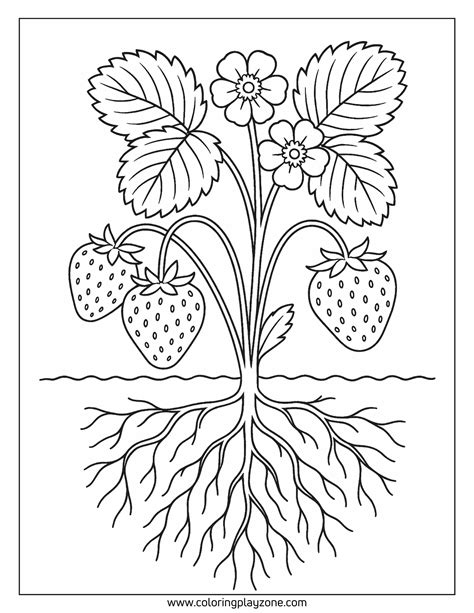72 Free Printable Strawberry Coloring Pages for All Ages