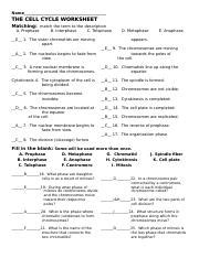 Cell Cycle Worksheet Answers 的图像结果