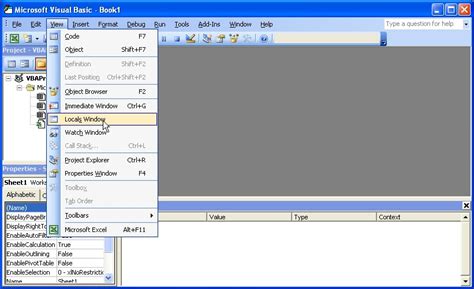 VBA Project Window Tutorial 的图像结果