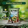 Ugaoo Neem Cake Powder for Plants 5 Kg - Organic Fertilizer & Pest ...