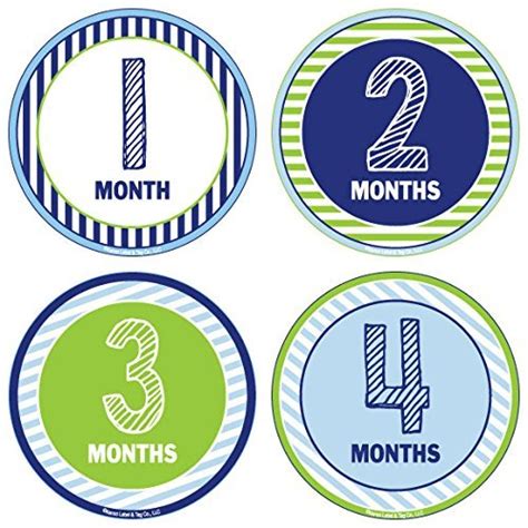 Buy 24 Pack Baby Month Stickers and Milestone Stickers by Kenco - Track ...