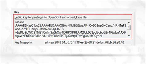 Image result for Paste the Generated SSH Key
