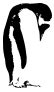 Image result for jvL in JavaScript