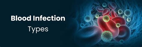 Understanding Different Types of Blood Infections