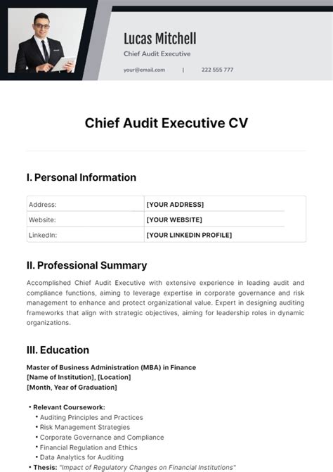 Chief Audit Executive CV Template - Edit Online & Download Example | Template.net