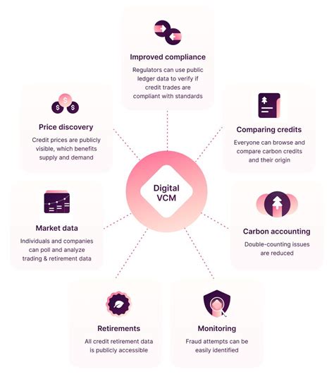 VCM Training 的图像结果