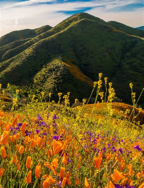 Hello McClellan Park, California Video Magazine