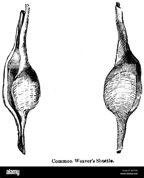 Image result for Weavers Shuttle Fast