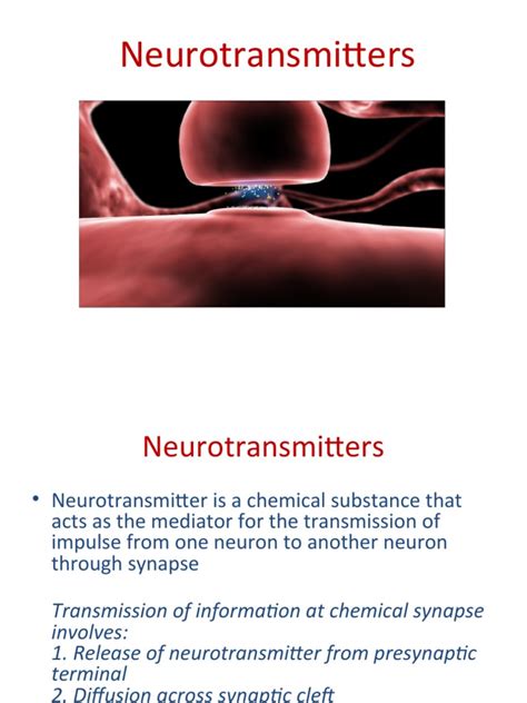 What Is a Neurotransmitter 的图像结果