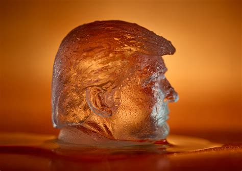 Could these Trump-shaped ice cube trays help save the planet? - The ...